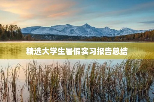 精选大学生暑假实习报告总结 精选大学生暑假实习报告总结