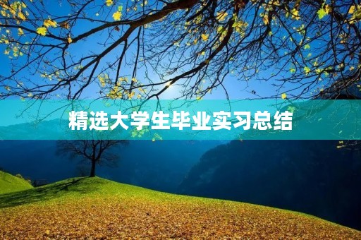 精选大学生毕业实习总结