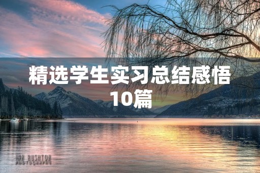 精选学生实习总结感悟10篇