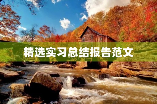精选实习总结报告范文