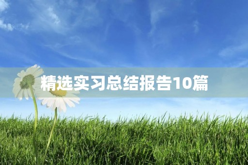 精选实习总结报告10篇