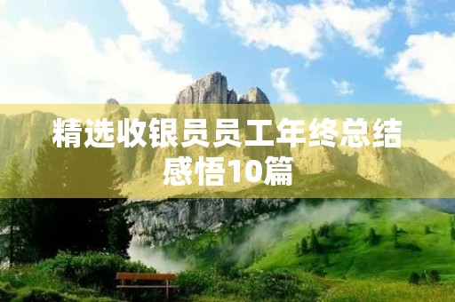 精选收银员员工年终总结感悟10篇