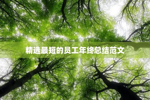 精选最短的员工年终总结范文 精选最短的员工年终总结范文