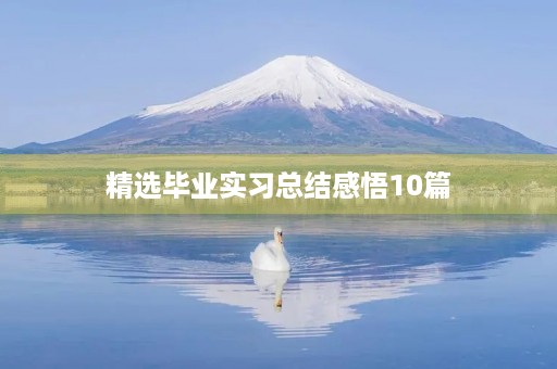 精选毕业实习总结感悟10篇