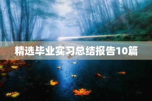 精选毕业实习总结报告10篇