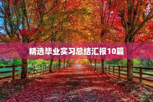 精选毕业实习总结汇报10篇