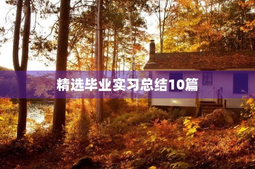 精选毕业实习总结10篇