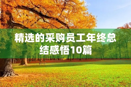 精选的采购员工年终总结感悟10篇