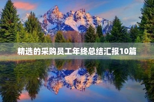 精选的采购员工年终总结汇报10篇