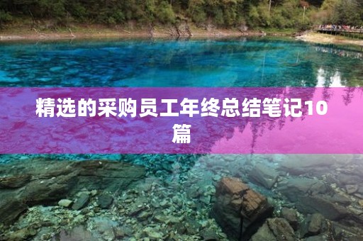 精选的采购员工年终总结笔记10篇 精选的采购员工年终总结笔记10篇