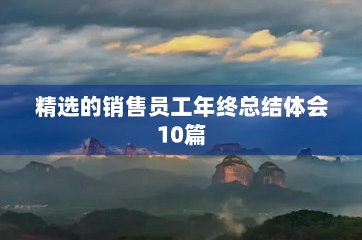 精选的销售员工年终总结体会10篇