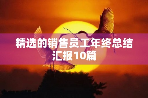 精选的销售员工年终总结汇报10篇