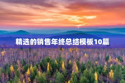 精选的销售年终总结模板10篇