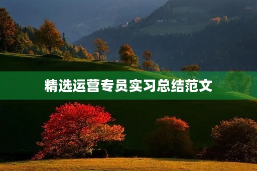 精选运营专员实习总结范文 精选运营专员实习总结范文