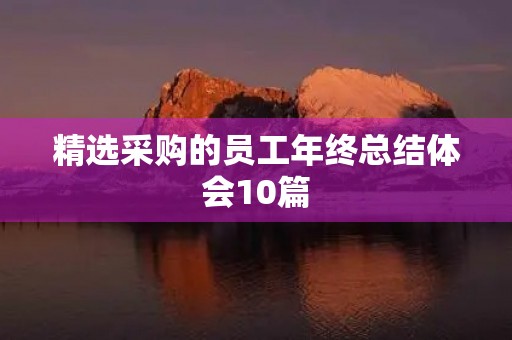 精选采购的员工年终总结体会10篇