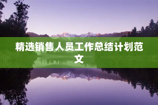 精选销售人员工作总结计划范文 精选销售人员工作总结计划范文