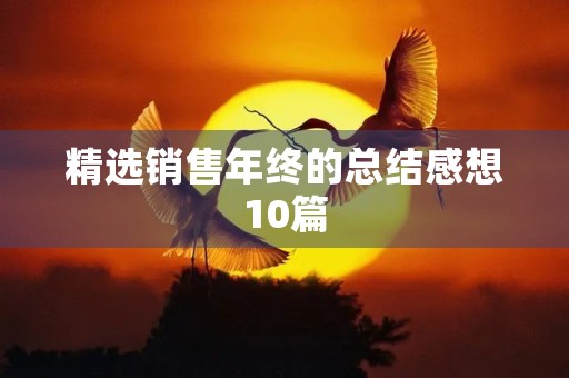精选销售年终的总结感想10篇