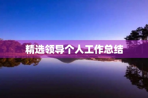 精选领导个人工作总结
