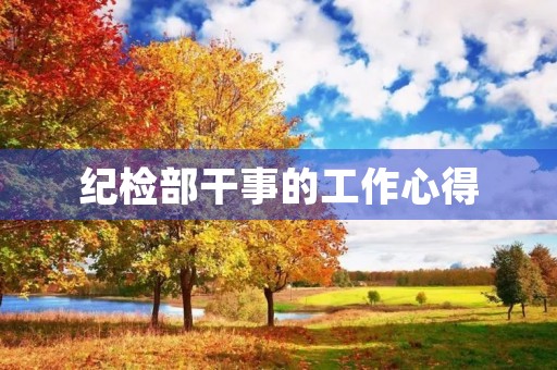 纪检部干事的工作心得