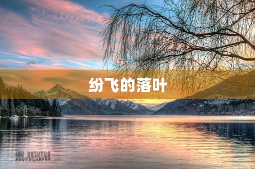 纷飞的落叶 纷飞的落叶