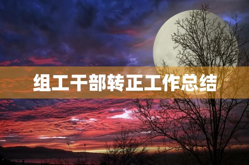 组工干部转正工作总结