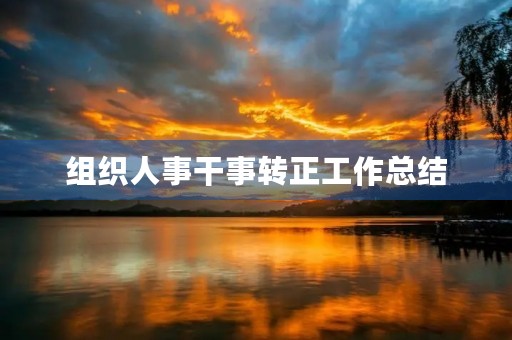 组织人事干事转正工作总结