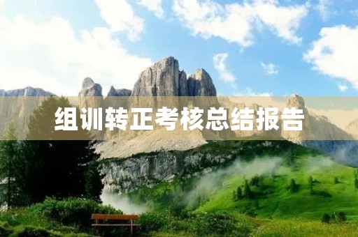 组训转正考核总结报告