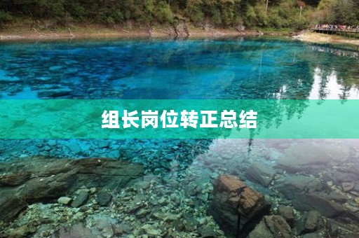 组长岗位转正总结