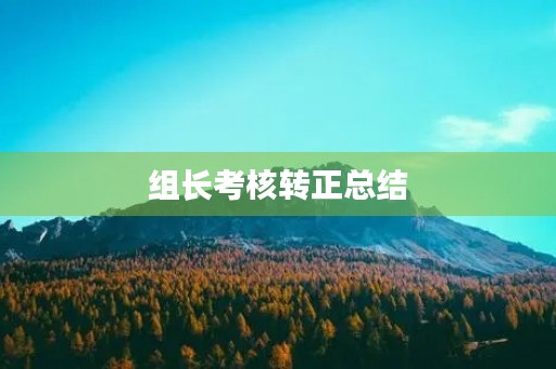 组长考核转正总结