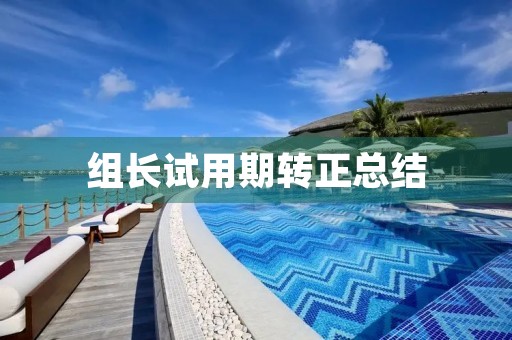 组长试用期转正总结