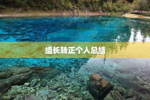 组长转正个人总结