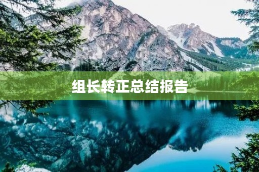 组长转正总结报告
