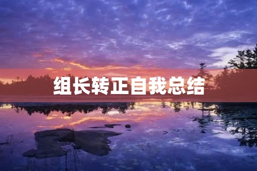 组长转正自我总结