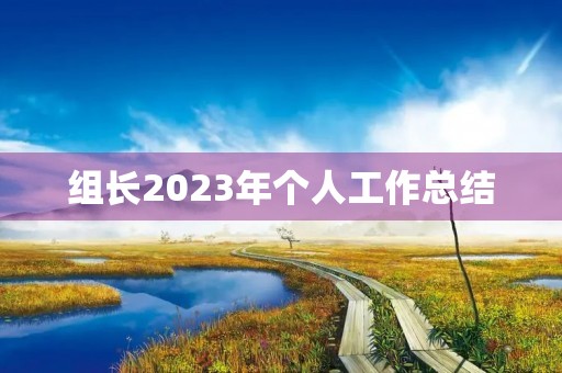 组长2023年个人工作总结