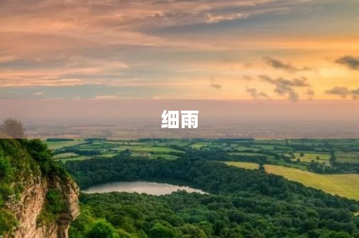 细雨