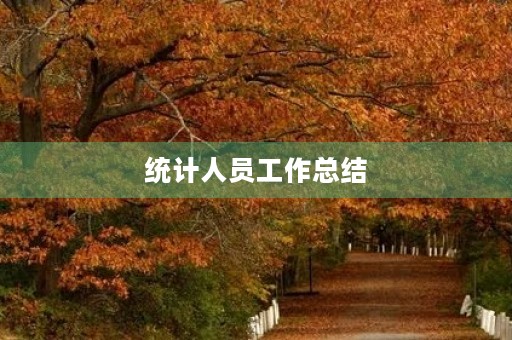 统计人员工作总结