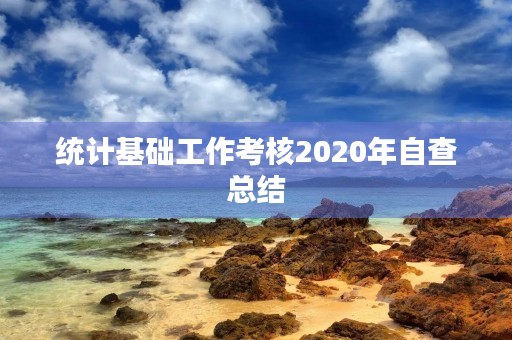 统计基础工作考核2020年自查总结