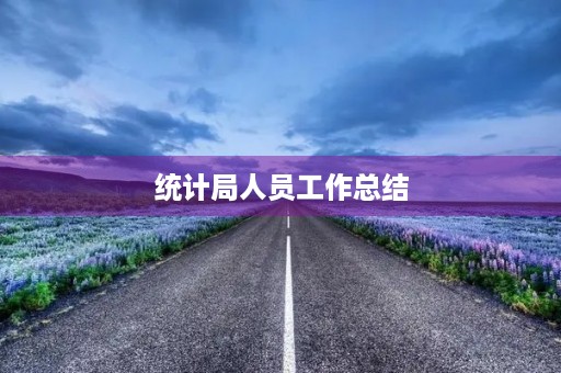 统计局人员工作总结