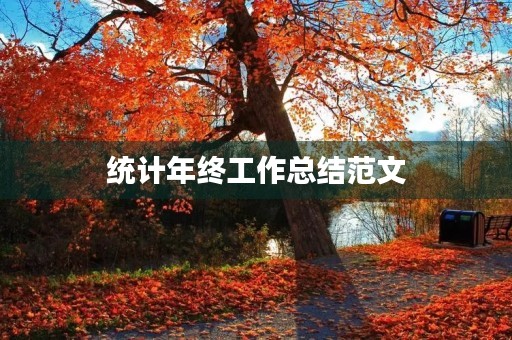 统计年终工作总结范文