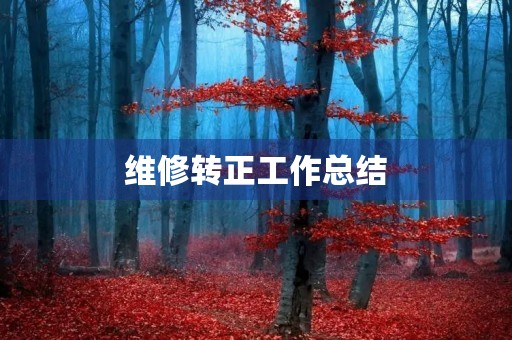 维修转正工作总结