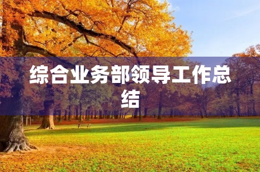 综合业务部领导工作总结