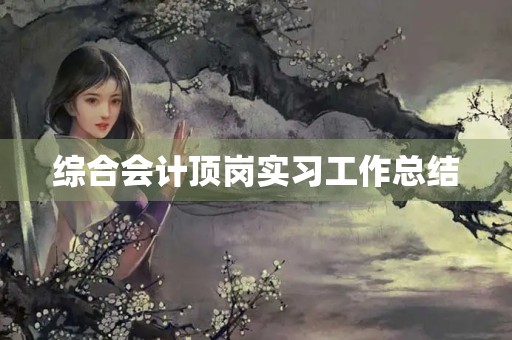 综合会计顶岗实习工作总结