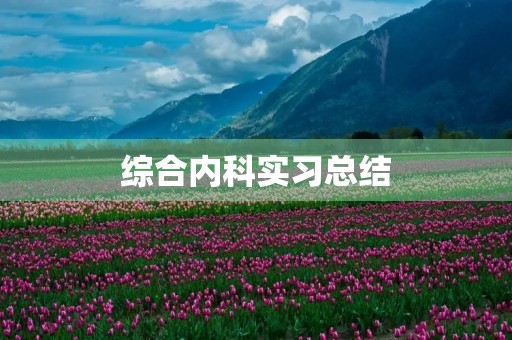 综合内科实习总结