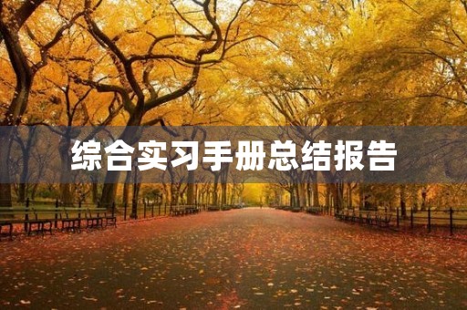 综合实习手册总结报告