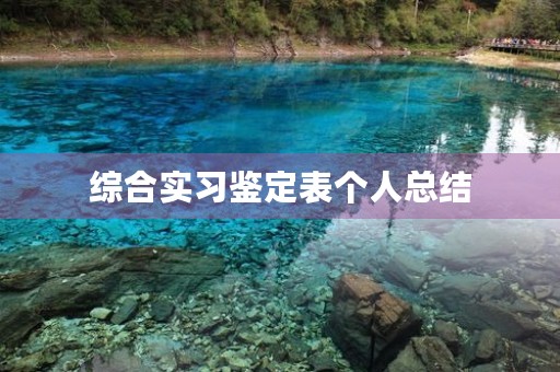 综合实习鉴定表个人总结
