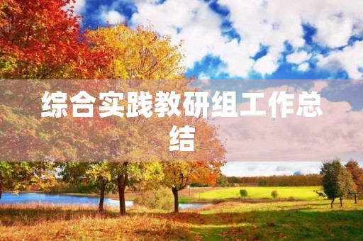综合实践教研组工作总结 综合实践教研组工作总结