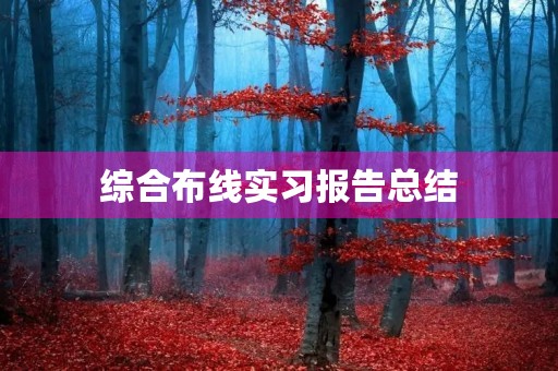 综合布线实习报告总结