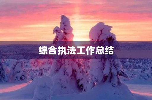 综合执法工作总结 综合执法工作总结