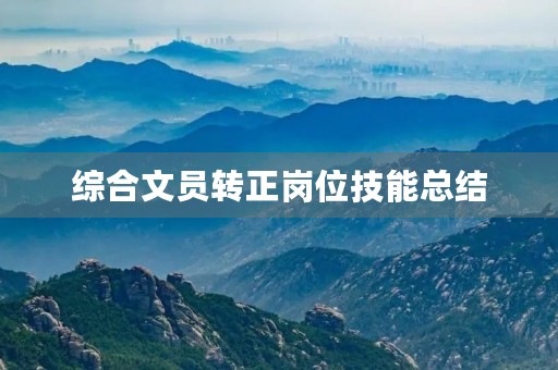 综合文员转正岗位技能总结
