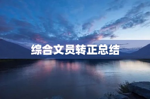 综合文员转正总结
